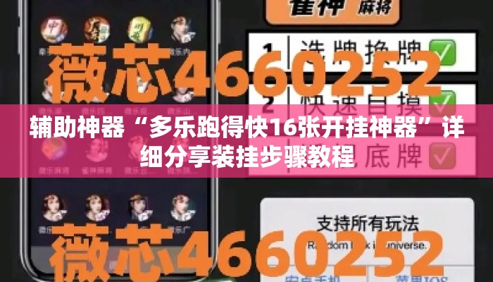 辅助神器“多乐跑得快16张开挂神器	”详细分享装挂步骤教程