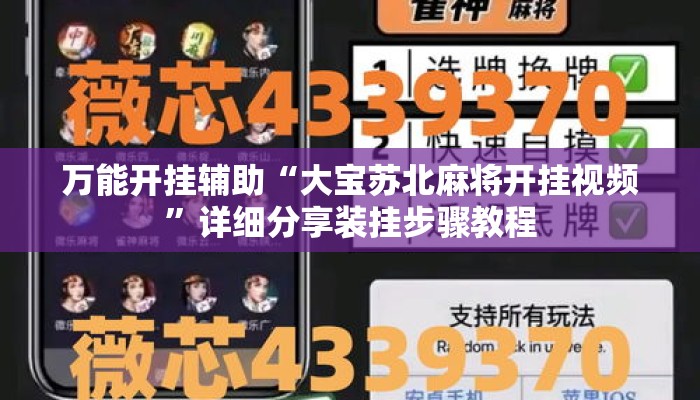 万能开挂辅助“大宝苏北麻将开挂视频”详细分享装挂步骤教程