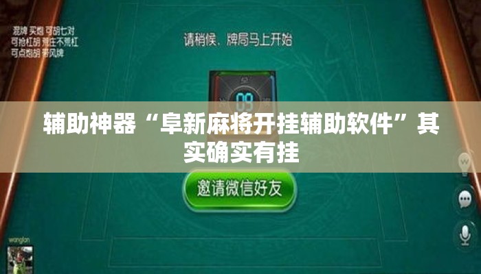 辅助神器“阜新麻将开挂辅助软件”其实确实有挂