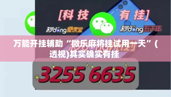 万能开挂辅助“微乐麻将挂试用一天	”(透视)其实确实有挂 