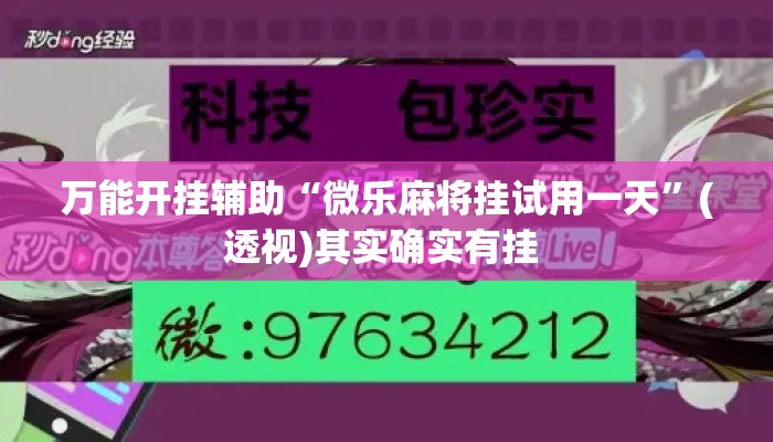 万能开挂辅助“微乐麻将挂试用一天”(透视)其实确实有挂 