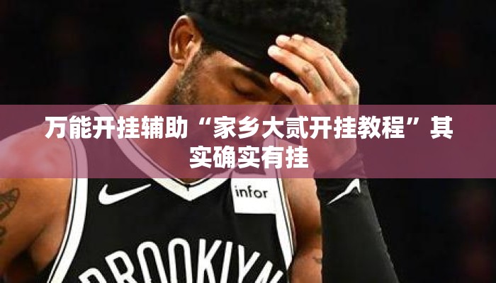 万能开挂辅助“家乡大贰开挂教程”其实确实有挂