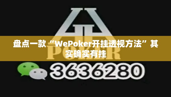 盘点一款“WePoker开挂透视方法”其实确实有挂
