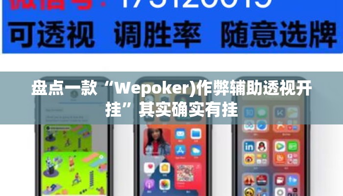 盘点一款“Wepoker)作弊辅助透视开挂”其实确实有挂