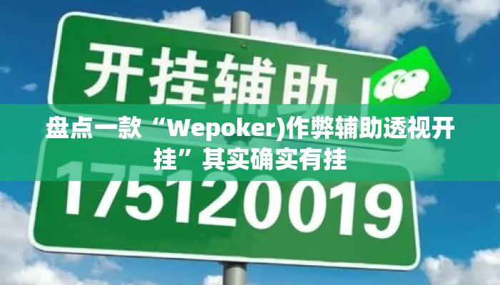 盘点一款“Wepoker)作弊辅助透视开挂	”其实确实有挂