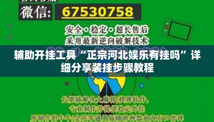 辅助开挂工具“正宗河北娱乐有挂吗”详细分享装挂步骤教程
