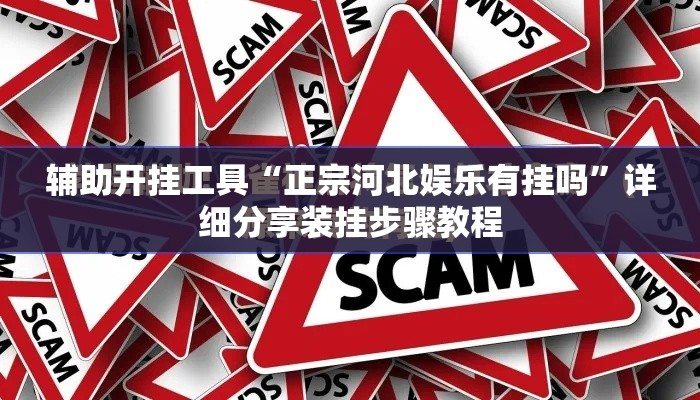 辅助开挂工具“正宗河北娱乐有挂吗”详细分享装挂步骤教程