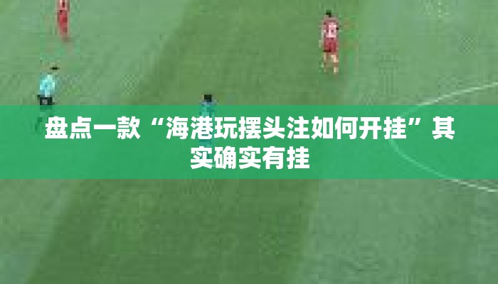 盘点一款“海港玩摆头注如何开挂	”其实确实有挂
