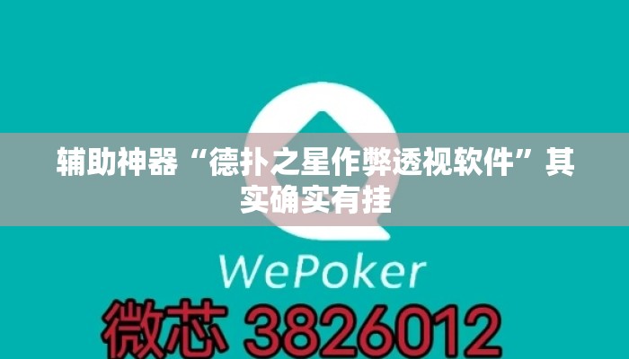 辅助神器“德扑之星作弊透视软件”其实确实有挂