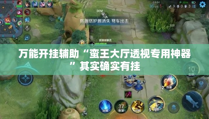 万能开挂辅助“蛮王大厅透视专用神器”其实确实有挂