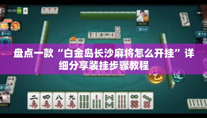 盘点一款“白金岛长沙麻将怎么开挂”详细分享装挂步骤教程
