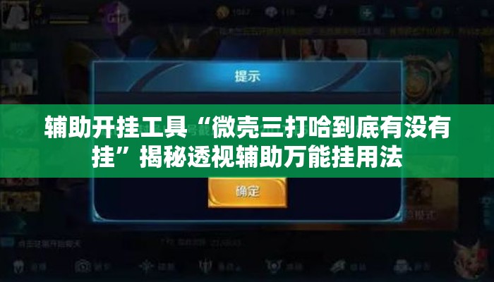 辅助开挂工具“微壳三打哈到底有没有挂”揭秘透视辅助万能挂用法