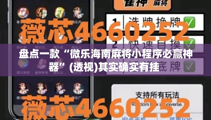 盘点一款“微乐海南麻将小程序必赢神器”(透视)其实确实有挂 