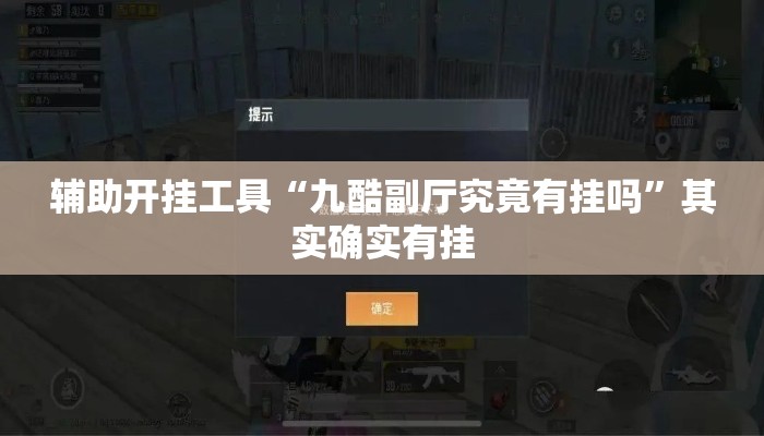 辅助开挂工具“九酷副厅究竟有挂吗”其实确实有挂