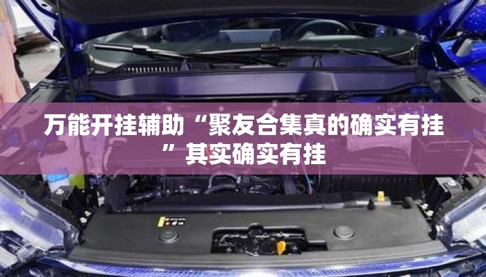 万能开挂辅助“聚友合集真的确实有挂”其实确实有挂