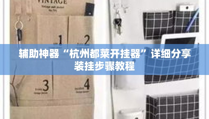 辅助神器“杭州都莱开挂器	”详细分享装挂步骤教程