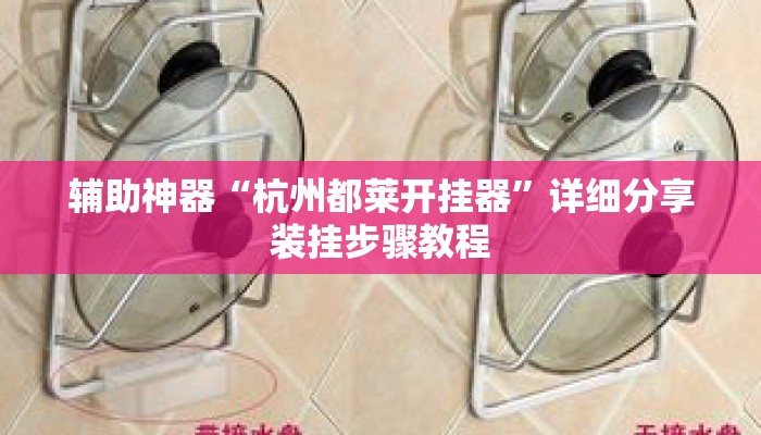 辅助神器“杭州都莱开挂器”详细分享装挂步骤教程