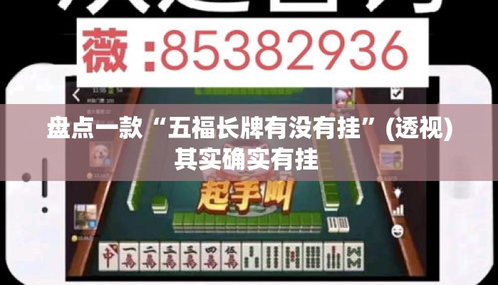 盘点一款“五福长牌有没有挂”(透视)其实确实有挂 