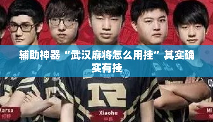 辅助神器“武汉麻将怎么用挂”其实确实有挂