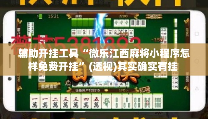 辅助开挂工具“微乐江西麻将小程序怎样免费开挂”(透视)其实确实有挂 