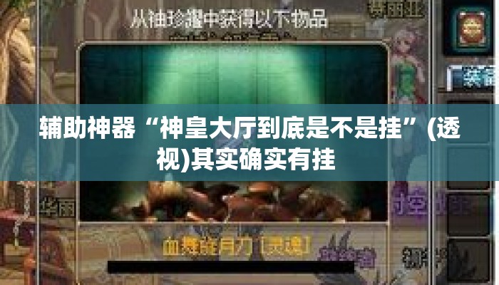 辅助神器“神皇大厅到底是不是挂”(透视)其实确实有挂 