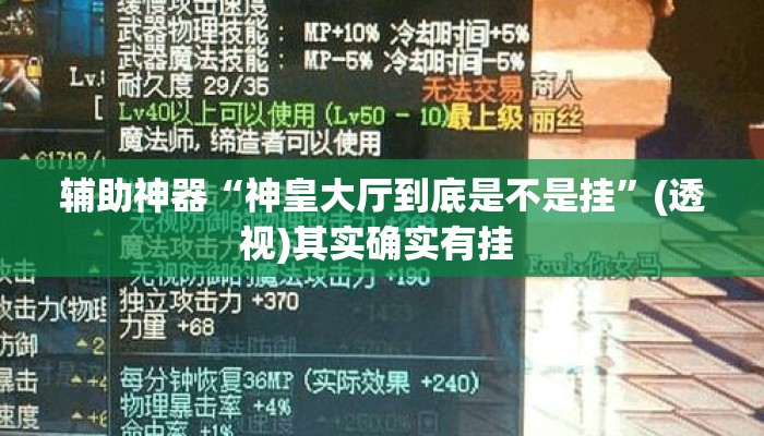 辅助神器“神皇大厅到底是不是挂”(透视)其实确实有挂 
