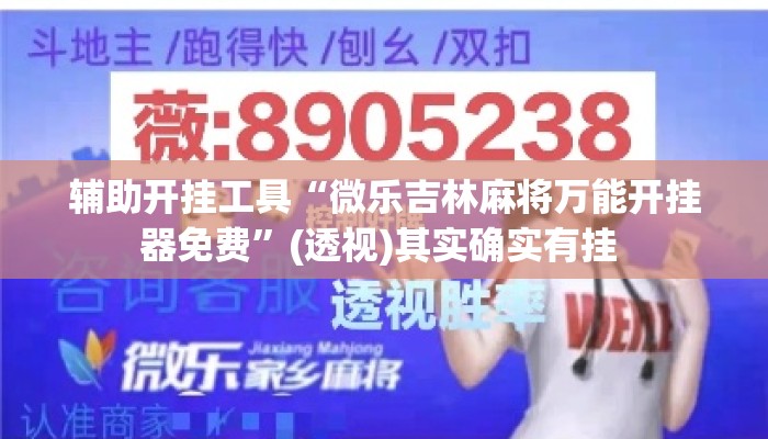 辅助开挂工具“微乐吉林麻将万能开挂器免费”(透视)其实确实有挂 