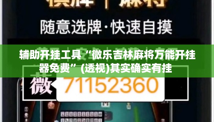 辅助开挂工具“微乐吉林麻将万能开挂器免费”(透视)其实确实有挂 
