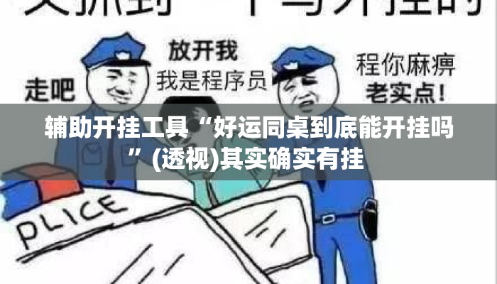 辅助开挂工具“好运同桌到底能开挂吗”(透视)其实确实有挂 