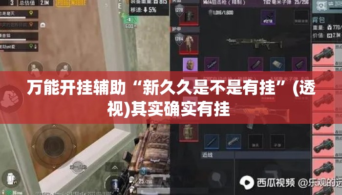 万能开挂辅助“新久久是不是有挂”(透视)其实确实有挂 
