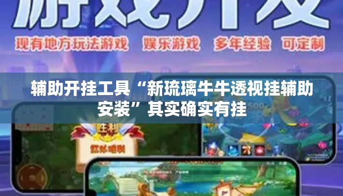 辅助开挂工具“新琉璃牛牛透视挂辅助安装”其实确实有挂