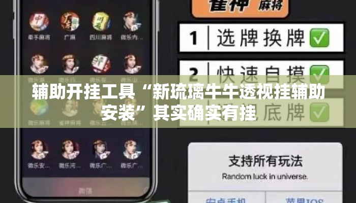 辅助开挂工具“新琉璃牛牛透视挂辅助安装	”其实确实有挂