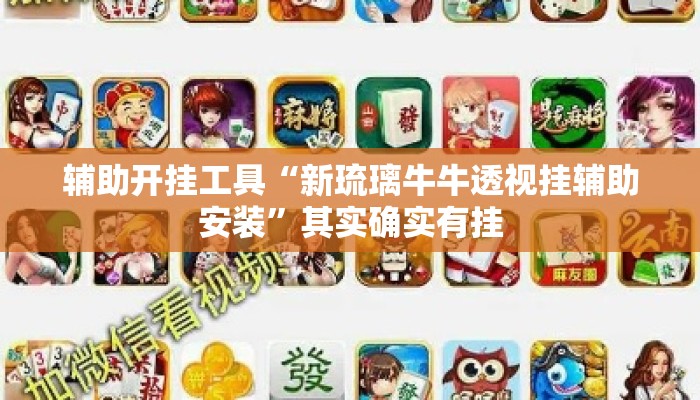 辅助开挂工具“新琉璃牛牛透视挂辅助安装”其实确实有挂