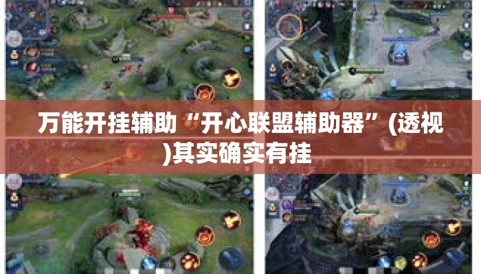 万能开挂辅助“开心联盟辅助器”(透视)其实确实有挂 
