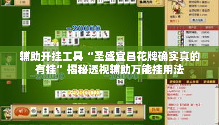 辅助开挂工具“圣盛宜昌花牌确实真的有挂”揭秘透视辅助万能挂用法
