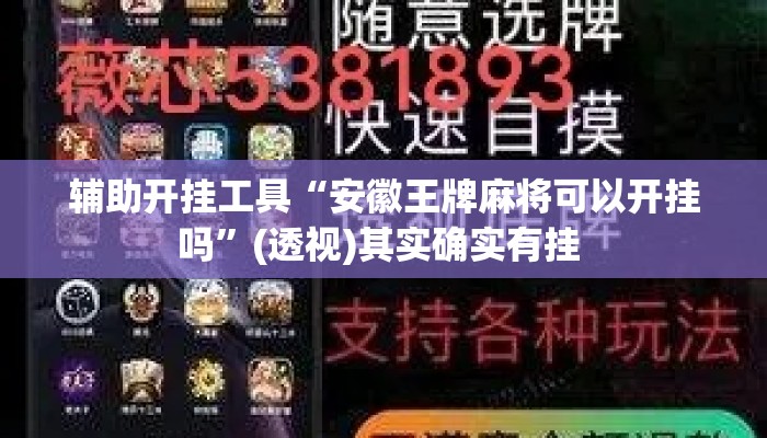 辅助开挂工具“安徽王牌麻将可以开挂吗”(透视)其实确实有挂 