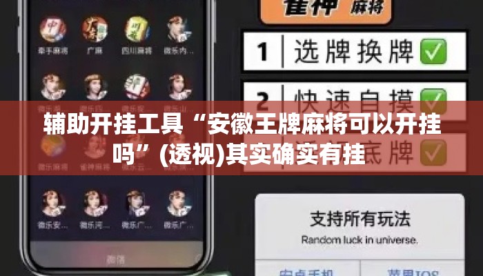 辅助开挂工具“安徽王牌麻将可以开挂吗	”(透视)其实确实有挂 