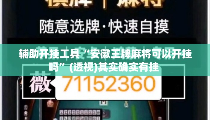 辅助开挂工具“安徽王牌麻将可以开挂吗	”(透视)其实确实有挂 