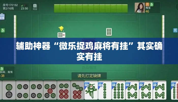 辅助神器“微乐捉鸡麻将有挂”其实确实有挂