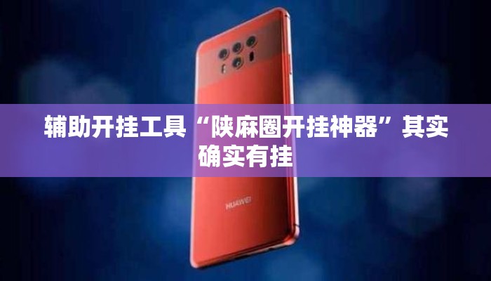 辅助开挂工具“陕麻圈开挂神器”其实确实有挂