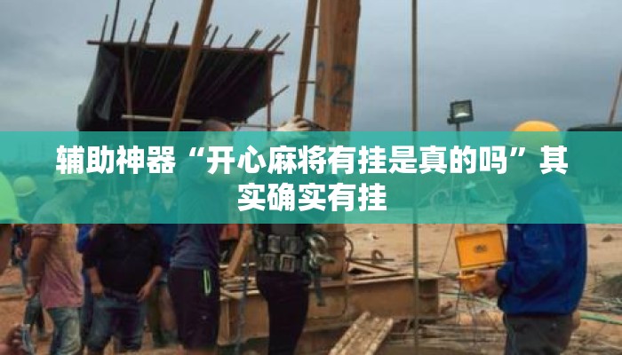 辅助神器“开心麻将有挂是真的吗”其实确实有挂