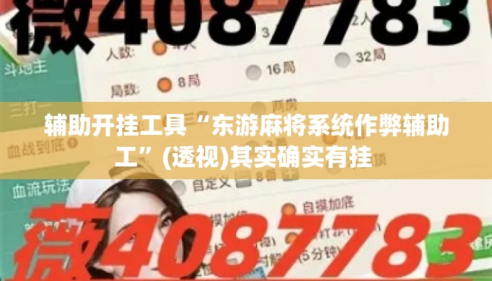 辅助开挂工具“东游麻将系统作弊辅助工	”(透视)其实确实有挂 