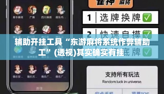 辅助开挂工具“东游麻将系统作弊辅助工”(透视)其实确实有挂 