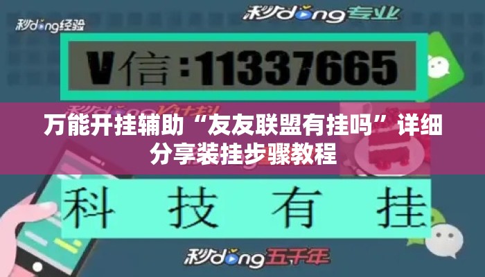 万能开挂辅助“友友联盟有挂吗”详细分享装挂步骤教程