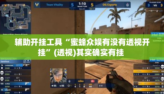 辅助开挂工具“蜜蜂众娱有没有透视开挂”(透视)其实确实有挂 