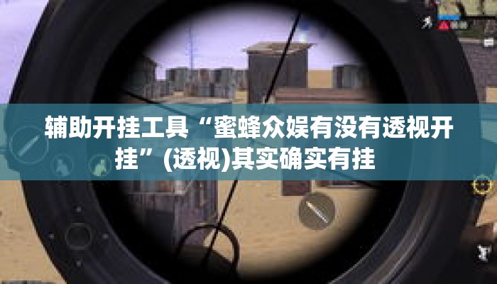 辅助开挂工具“蜜蜂众娱有没有透视开挂”(透视)其实确实有挂 