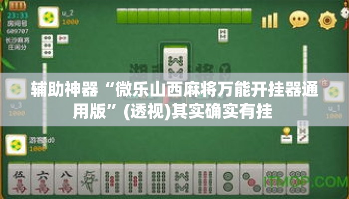 辅助神器“微乐山西麻将万能开挂器通用版”(透视)其实确实有挂 
