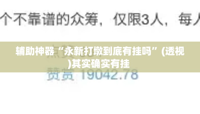 辅助神器“永新打墩到底有挂吗	”(透视)其实确实有挂 