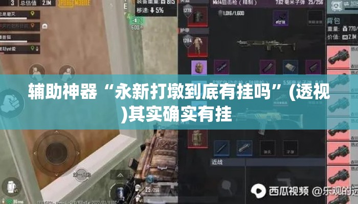 辅助神器“永新打墩到底有挂吗”(透视)其实确实有挂 