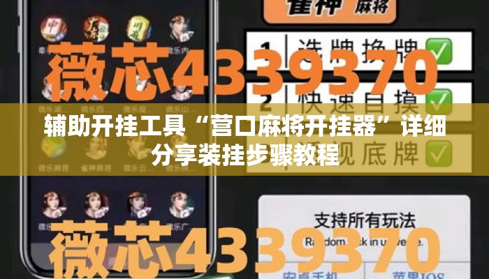 辅助开挂工具“营口麻将开挂器	”详细分享装挂步骤教程